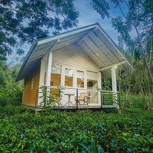 Ilukketiya Tea Chalets - Melagoda, Wanchawala